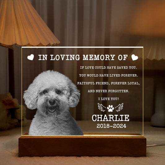 In Loving Memory Of My Furry Friend - Personalized Acrylic Plaque Night Light